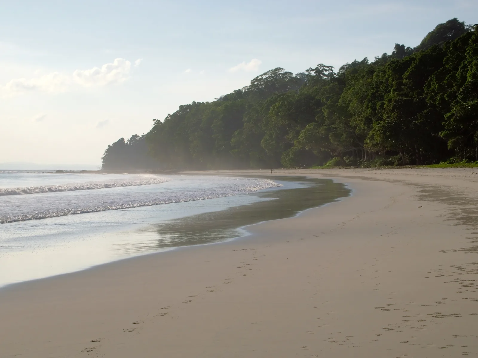 Havelock Island, Andaman Sea, Andaman and Nicobar Islands, India