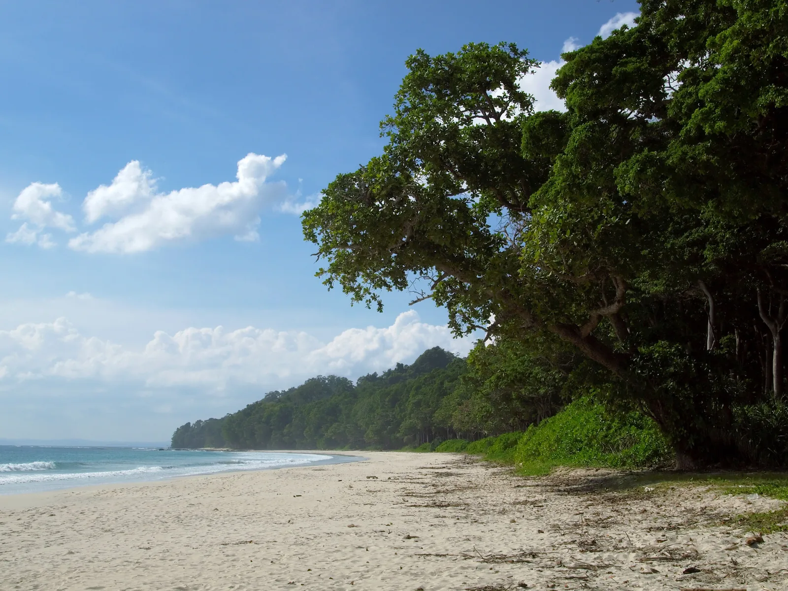 This tropical beach was named "Best Beach in Asia" by Time Magazine in 2004. The Andaman Islands have a tropical rainforest canopy. Havelock Island, Andaman Sea