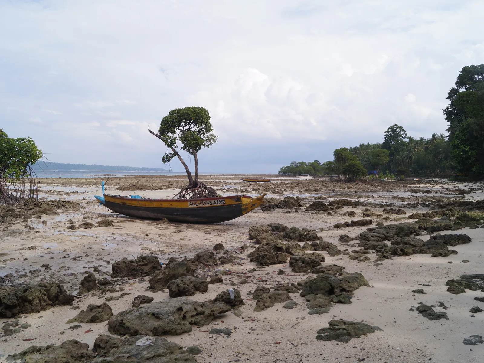 Radhanagar Beach in the Havelock Islands, Andaman and Nicobar Islands