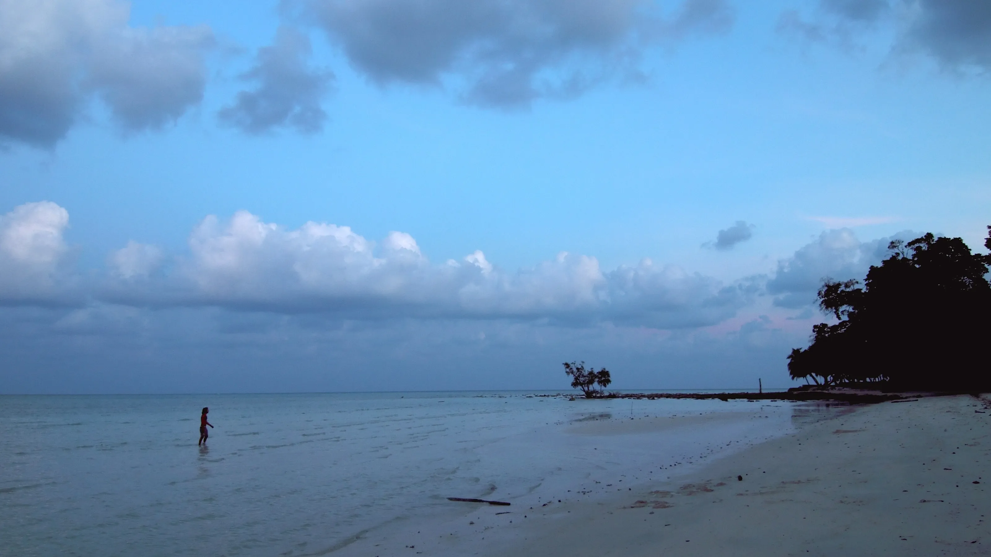Radhanagar Beach on Havelock Island at blue hour