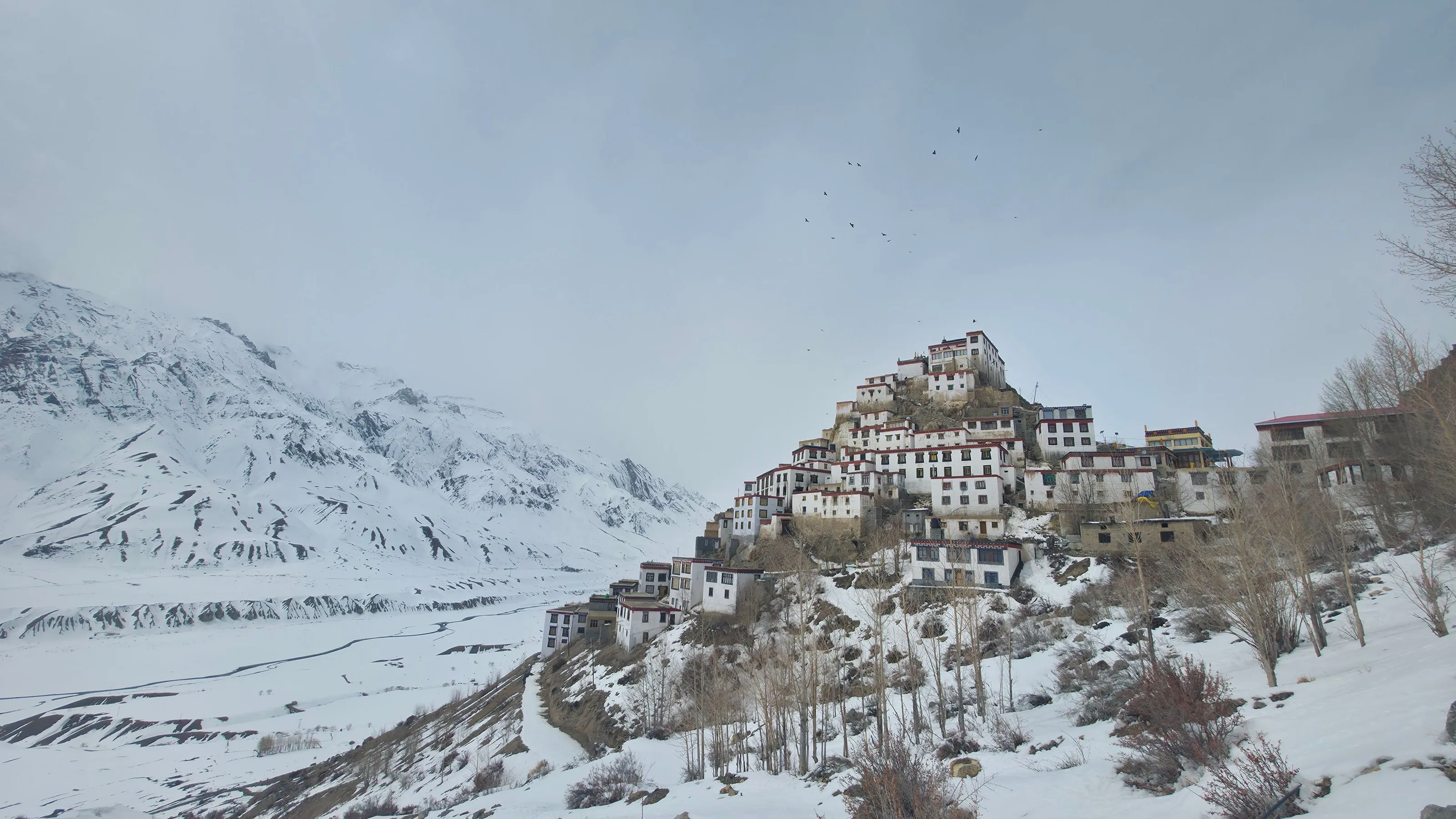 Key Monastery on its hill in the snow, Spiti valley