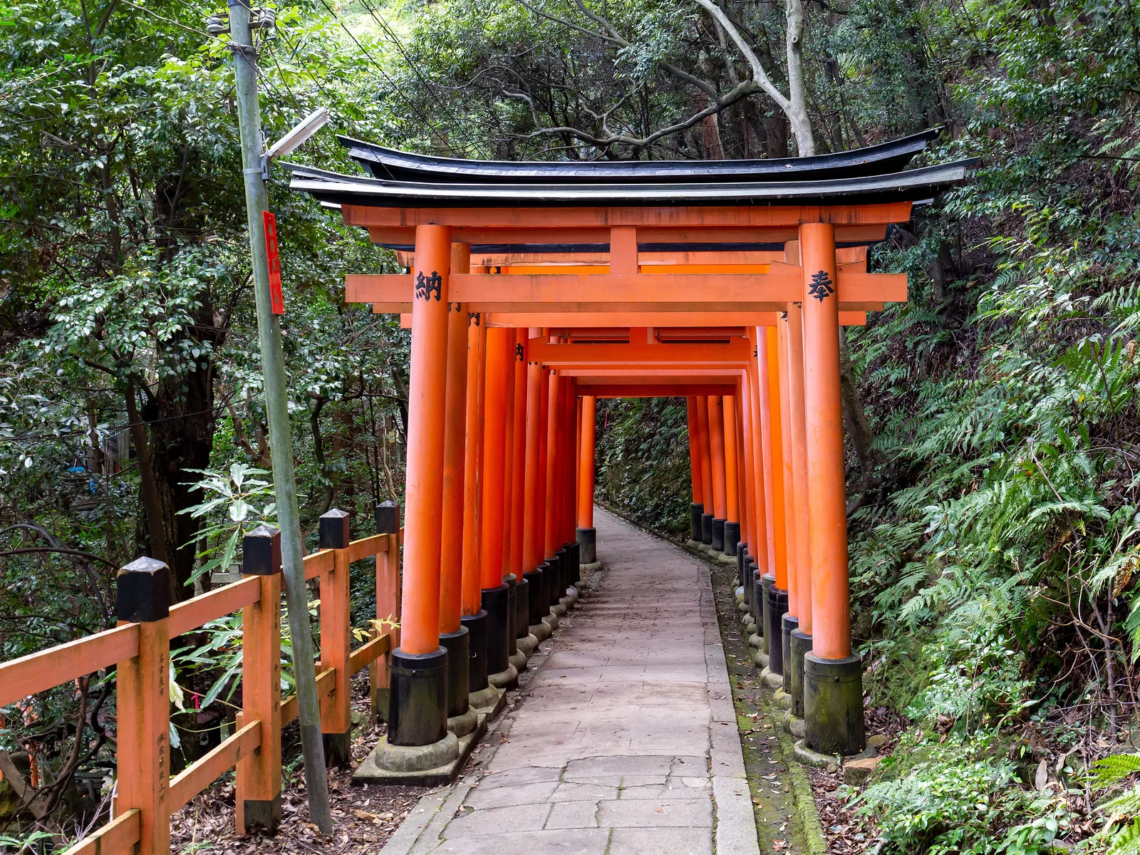 Torii gates at Fushimi Inari-taisha in Kyoto, Japan