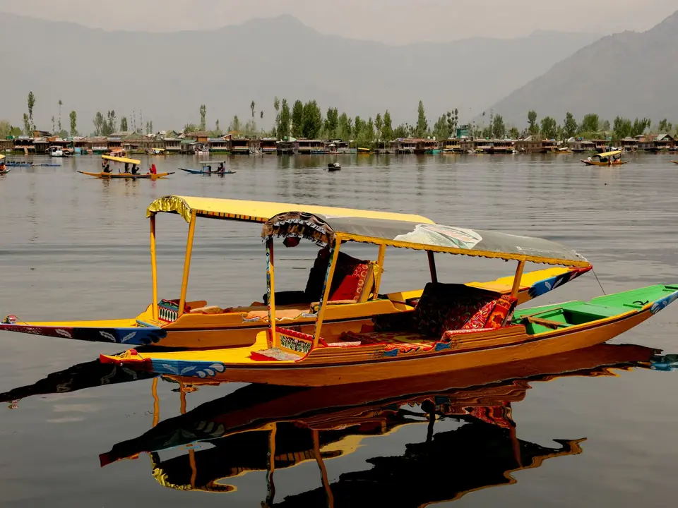 Vibrant shikara boats float gracefully on Dal Lake, Srinagar, with a backdrop of serene mountains