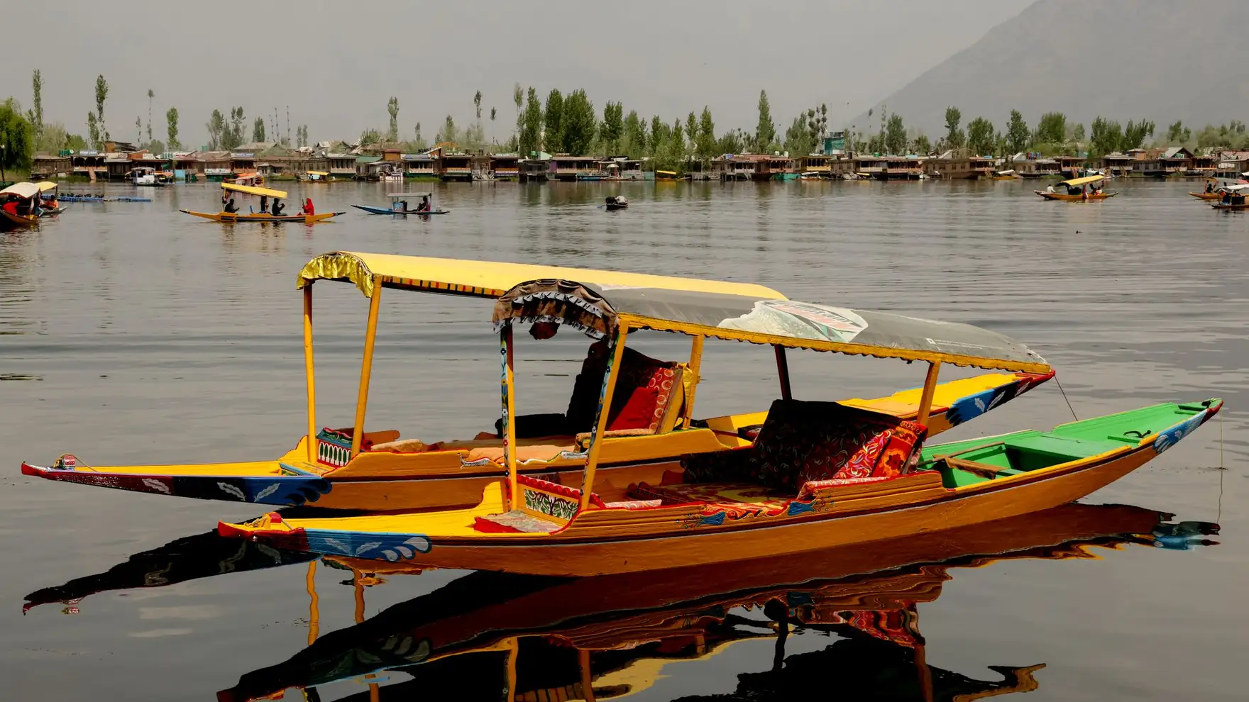 Vibrant shikara boats float gracefully on Dal Lake, Srinagar, with a backdrop of serene mountains