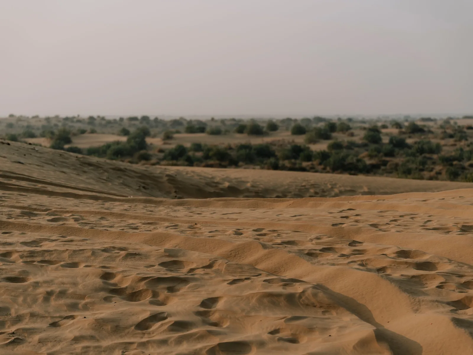 Golden sand dunes stretch across the Thar Desert under a hazy sky, creating a serene landscape