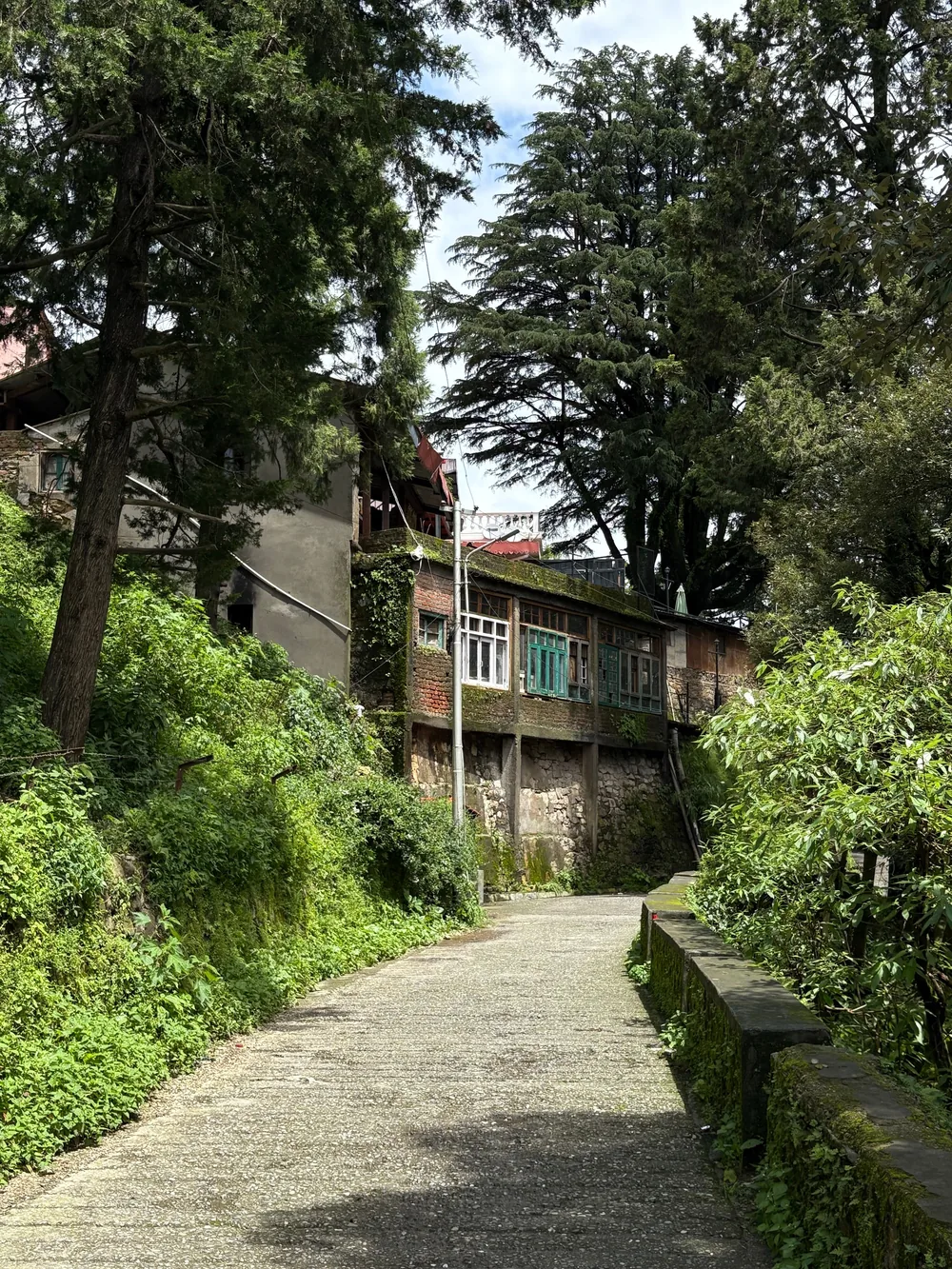 A quiet stone path through Mussoorie's hillside greenery