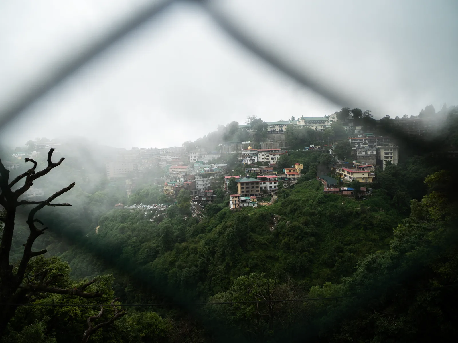 Misty view of Mussoorie's hillside houses and lush greenery on a rainy day