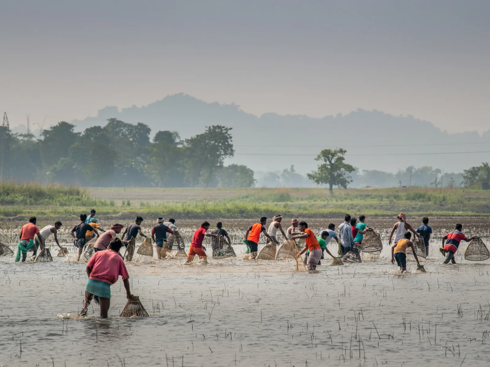 Community Fishing, Mayong
