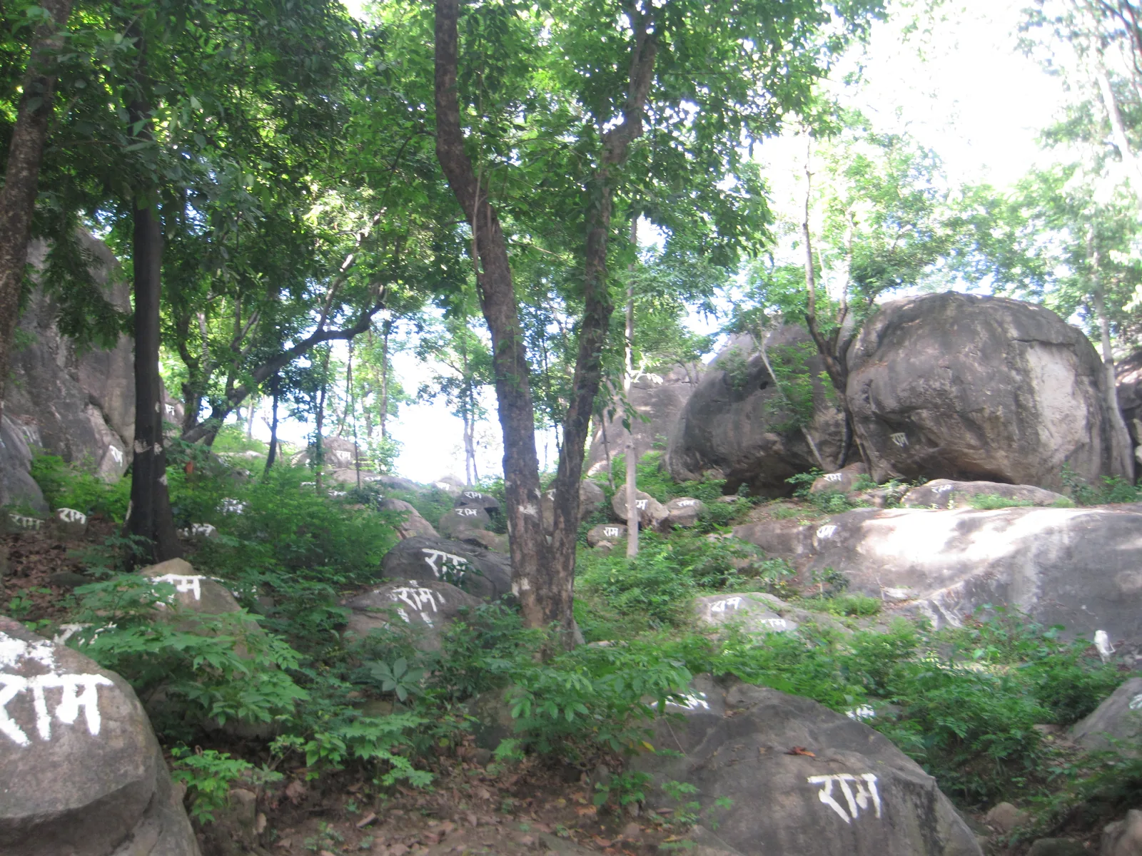 মায়ঙৰ কাছশিলা পাহাৰৰ এটা দৃশ্য