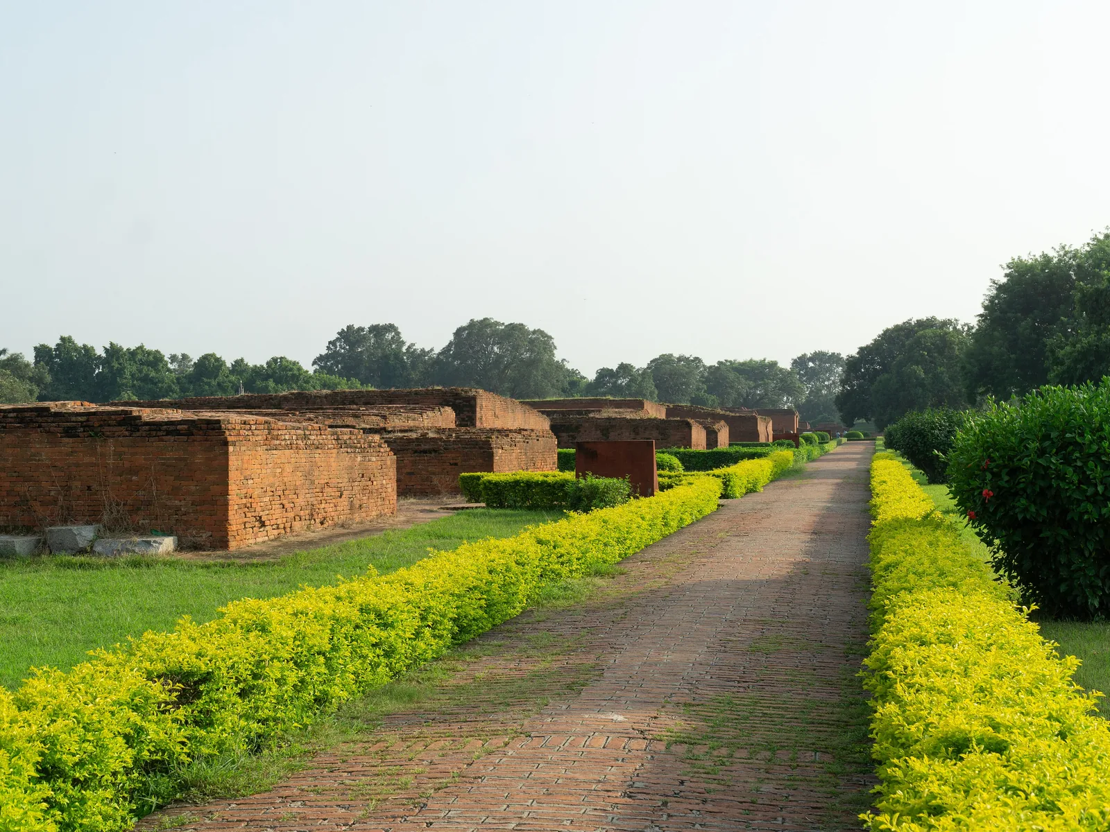 Ruins of Nalanda Mahavihara