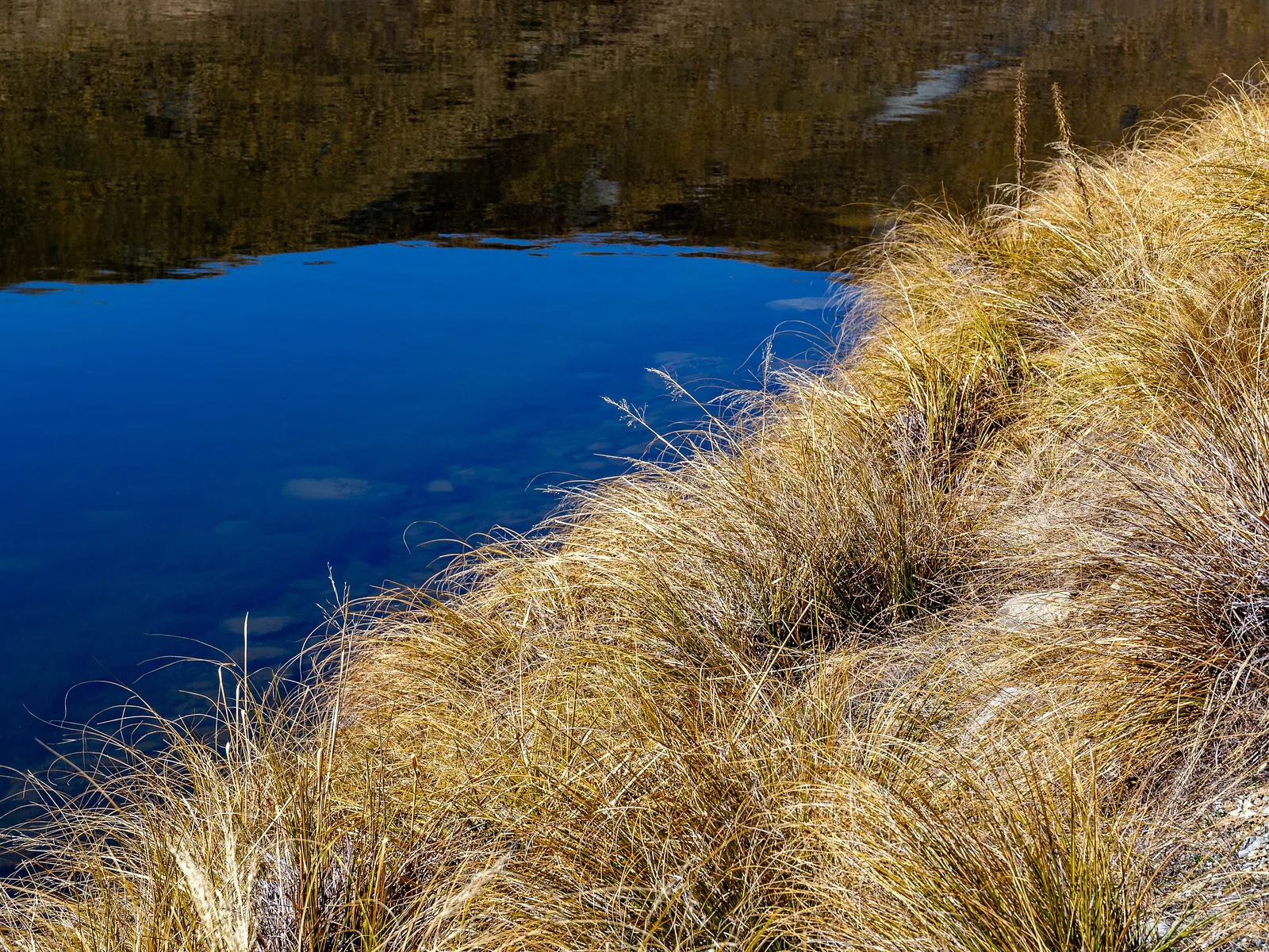 Bank of Mystery Lake, Canterbury, New Zealand