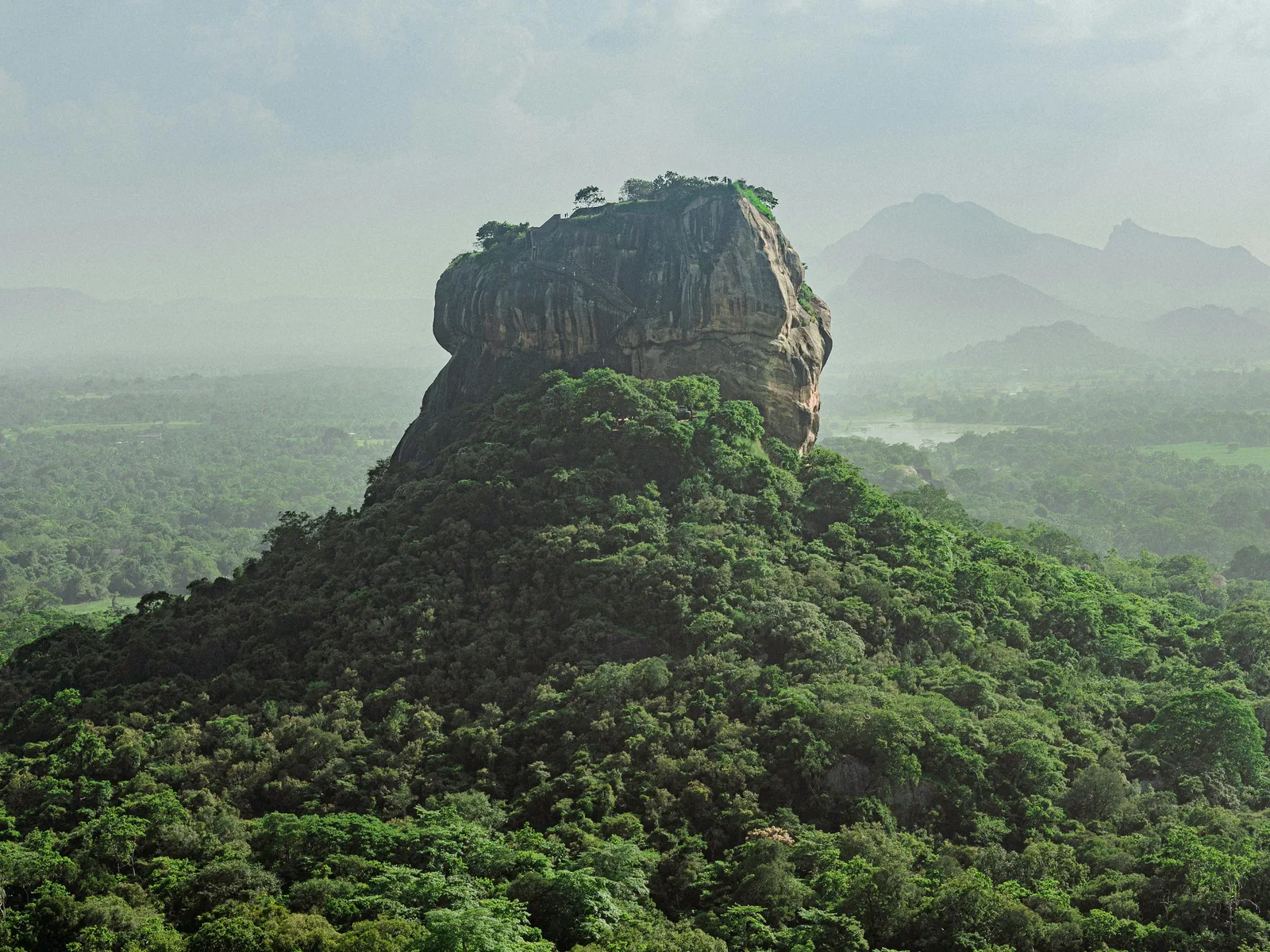 green trees on mountain during daytime