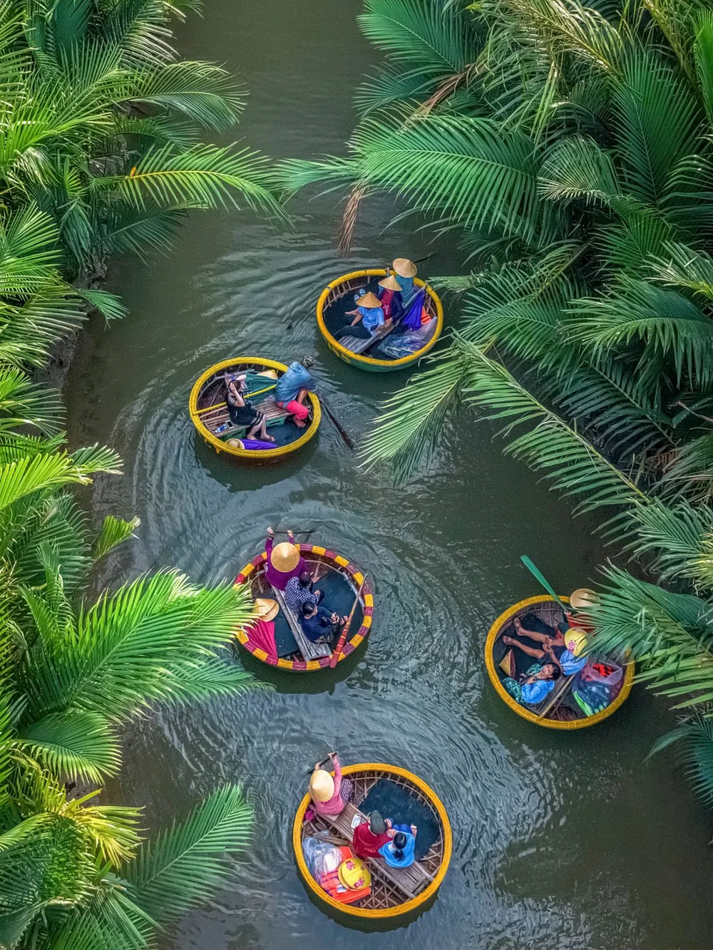 Basket boats in the coconut palms near Hoi An